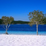 Fraser Island – l’isola di sabbia