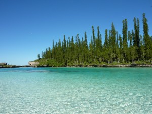 Nuova Caledonia isola dei pini